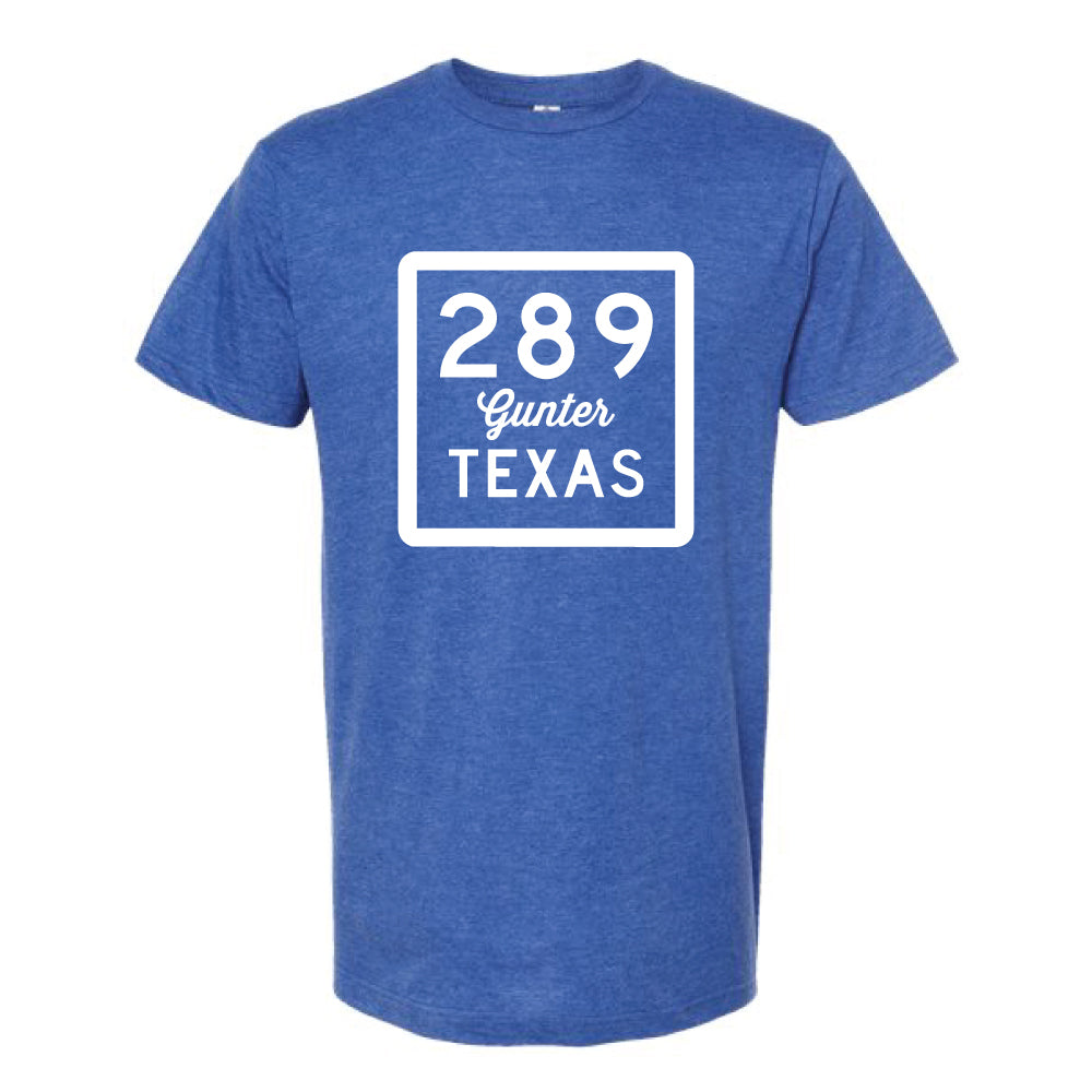 289 Gunter Texas
